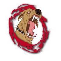 Wildogs