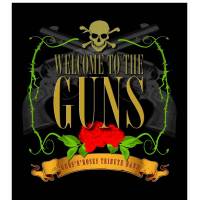 Welcome To The Guns