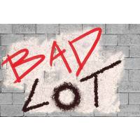 Bad Lot