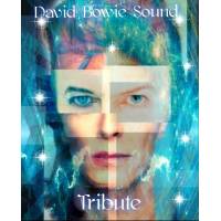 David Bowie Sound