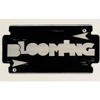 BLOOMING
