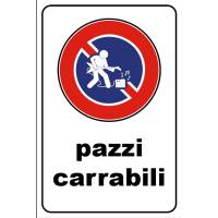 PAZZI carrabili band