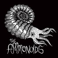 The Ammonoids