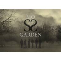 Moss Garden