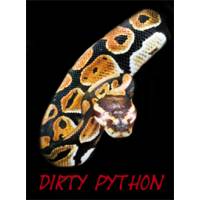 Dirty Python