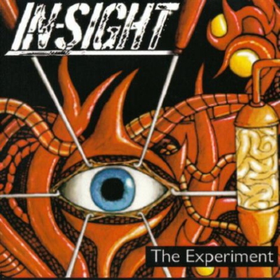 IN-SIGHT - The Experiment