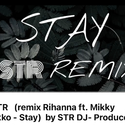 STR (remix Rihanna ft. Mikky Ekko - Stay) by STR DJ- Producer