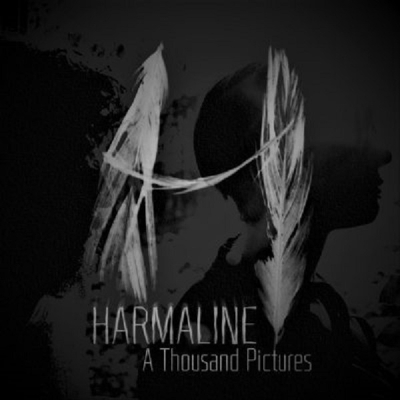 Harmaline - A Thousand Pictures 