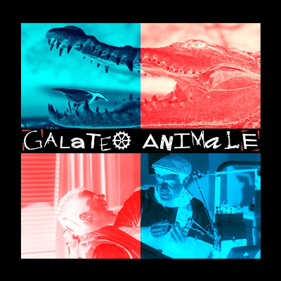 Galateo Animale