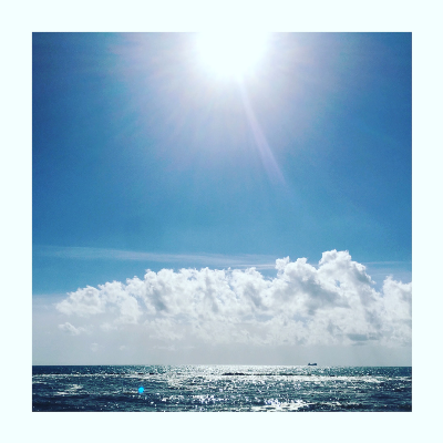 GoototheWeest EDM Collection 2025 Volume 1