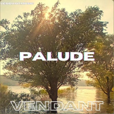 Palude