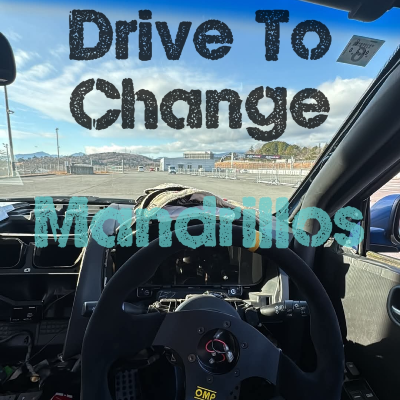 Drive To Change 