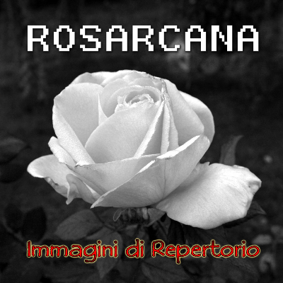 EP AUDIO: ROSARCANA BAND
