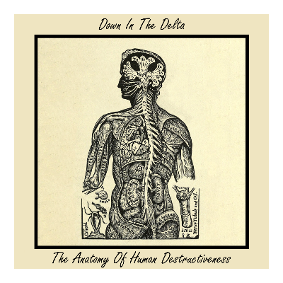 Anatomy Of Human Destructiveness