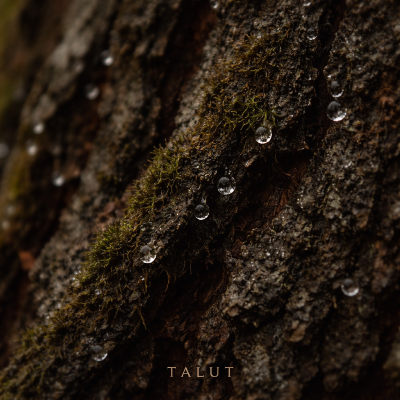 Talut - Doubrast