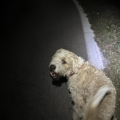 Marley
