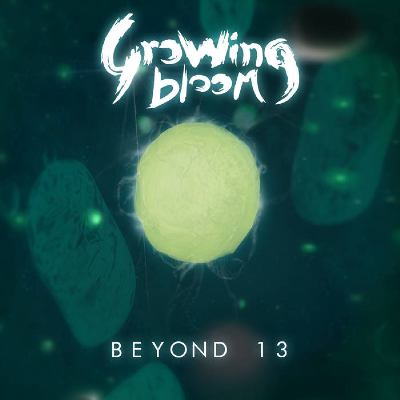 BEYOND 13