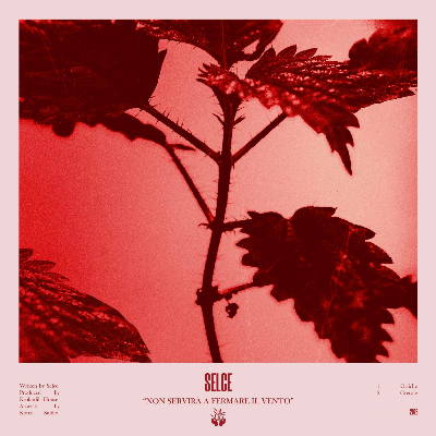 Selce - Non Servirà a Fermare il Vento