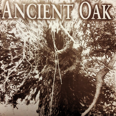 Ancient Oak