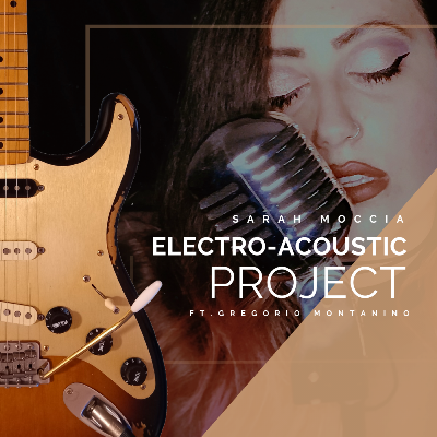 ELECTRO ACOUSTIC PROJECT