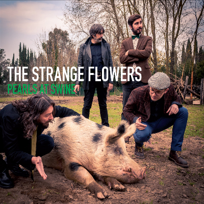 Pearls at swine - the strange flowers