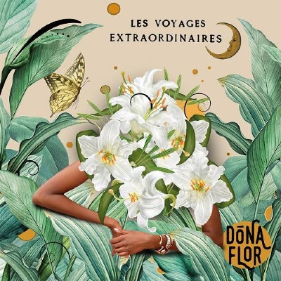 LES VOYAGES EXTRAORDINAIRES