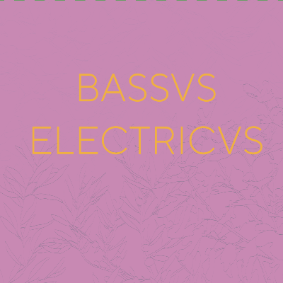 Giovanni Gregoretti – Bassus Electricus