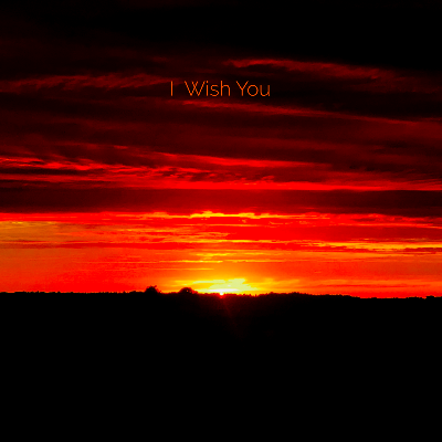 I Wish You