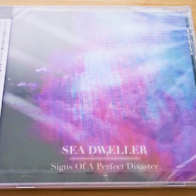 Signs Of A Perfect Disaster by Sea Dweller