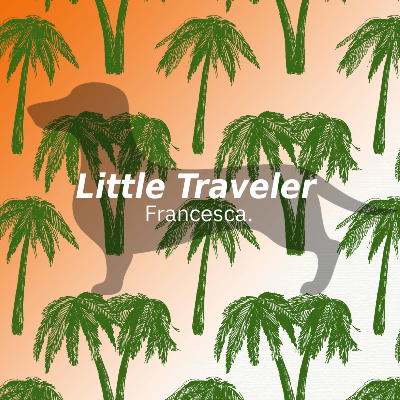 Little traveler 