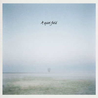 A quiet field