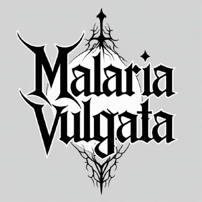 Nessun album in corso