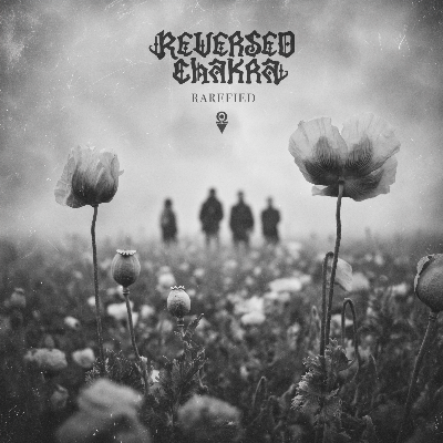 Rarefied