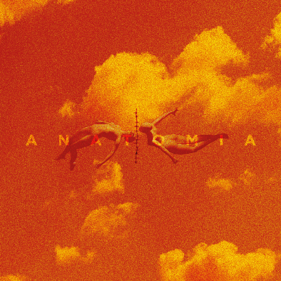 VIDAGE - Anatomia