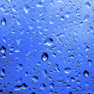  Blue rain