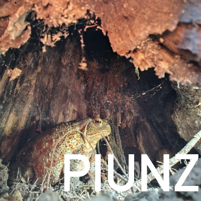 PIUNZ PIUNZ