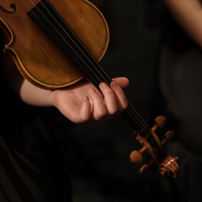 Violinista Varese