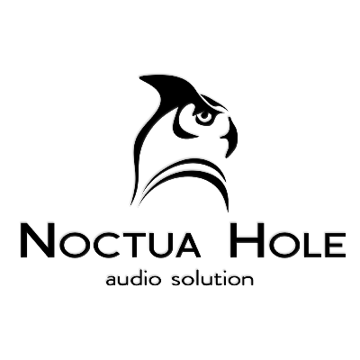 Noctua Hole Audio Solution