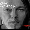 David Gilmour Tribute