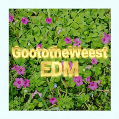 GoootothWeest EDM