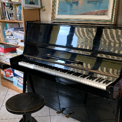 LEZIONI DI PIANOFORTE CLASSICO E MODERNO AD EURO 15 L'ORA - PROVINCIA DI BERGAMO ANCHE A DOMICILIO