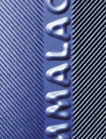 Gommalacca tribute Band 