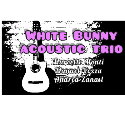White Bunny acoustic trio