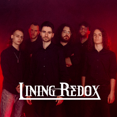 Lining Redox