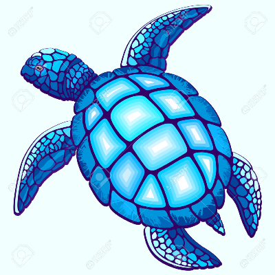 Blue Turtles