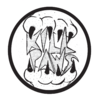 Killpaws