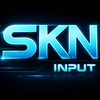 SKN Input (Swiss Knowledge Network- Input) 