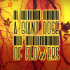 a Giant dose of Flowers