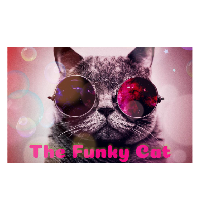 THE FUNKY CAT