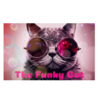 THE FUNKY CAT